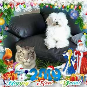 Meet your Posher, Ysabellecarole